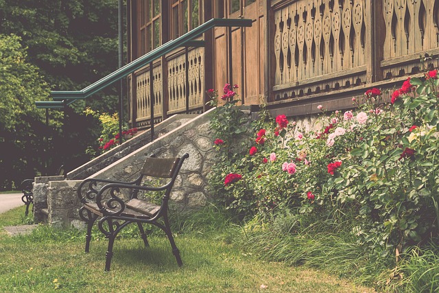 在新帅李霄 在新帅李霄