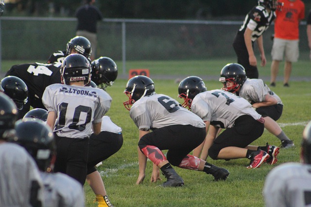 文化和环境 文化和环境