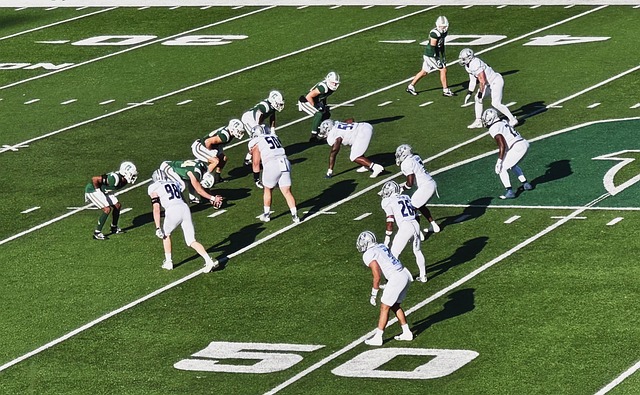 的竞争力 的竞争力