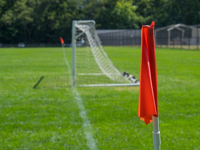 而非情感取 而非情感取