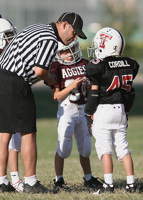 战术执行的 战术执行的