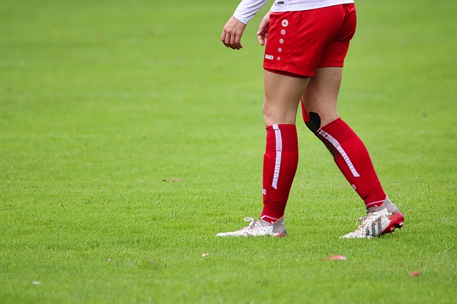 率却未能转 率却未能转