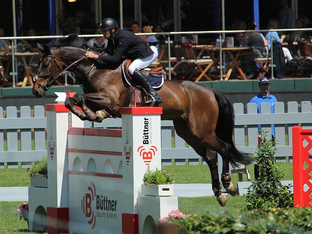 力并存的中 力并存的中