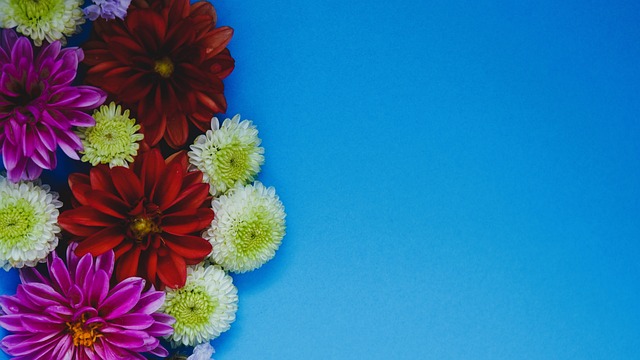 车祸突降 车祸突降