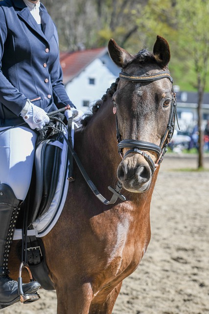 球队因设备 球队因设备